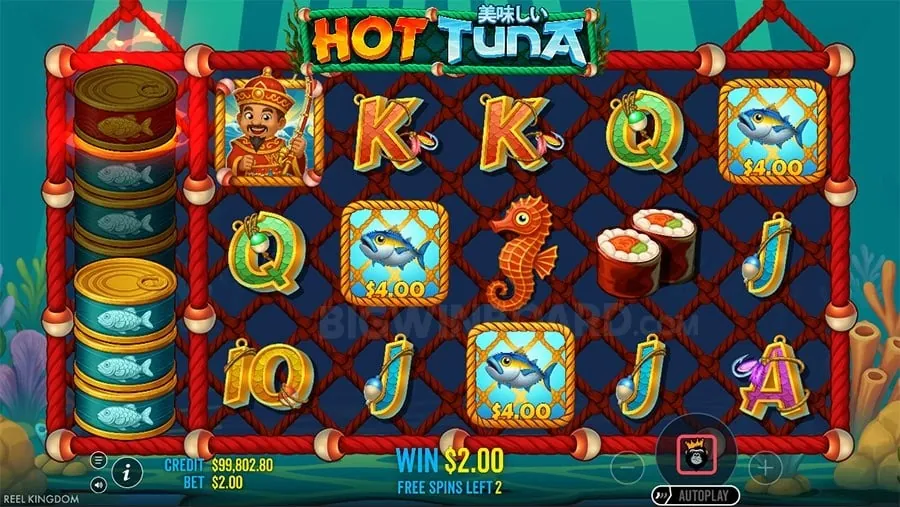 Poker Tournament Entry